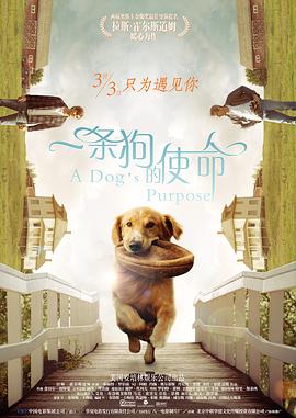 偷拍综合网