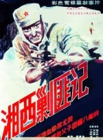 美女又黄又免费