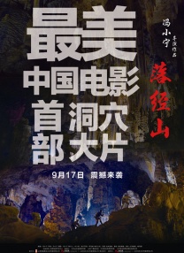 姨妈和单身汉