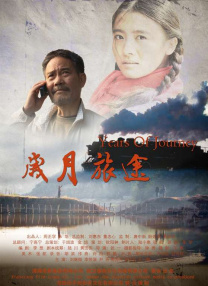 一区二区视频网